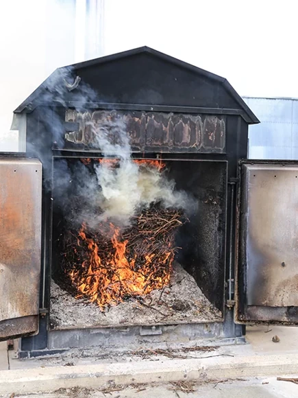 Yealands Vine Prunings - Green World Awards
