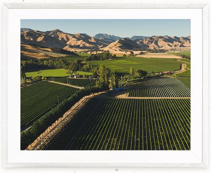 Eyrie Vineyard Image