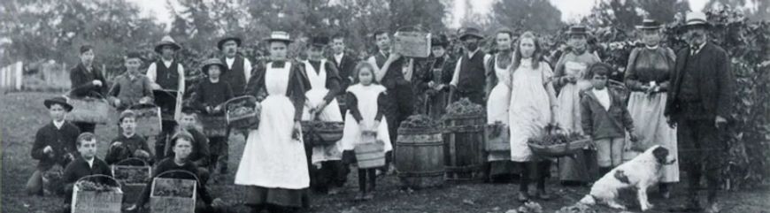 William Beetham Landsdowne Estate