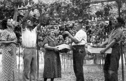 Soljan Family History 1