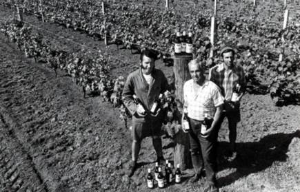 Soljan Family History 2