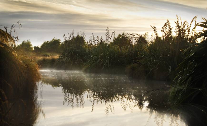 New Zealand Wine Industry’s Report Shows Commitment To Sustainability