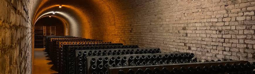 Wines in Cellar
