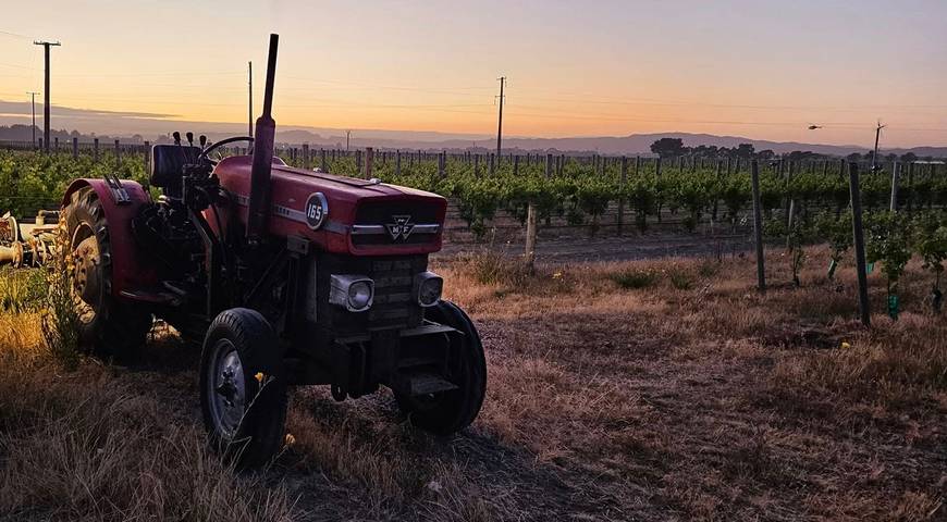 Tractor in the Vineyard