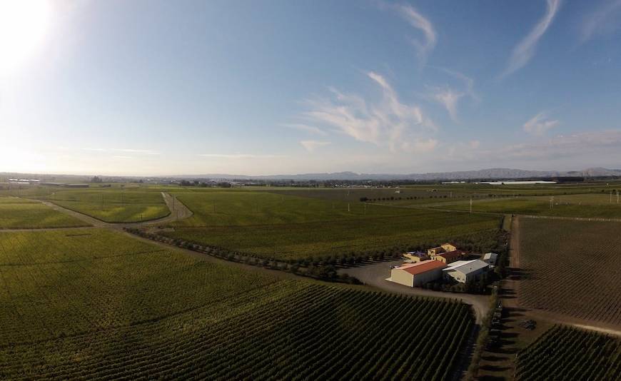 Unison Vineyard from the Air