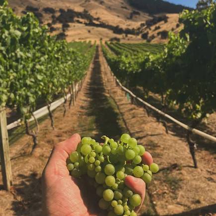 Ripple Effect Chardonnay