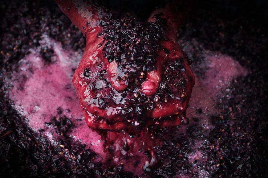 Hands in Juice - Te Whare Ra