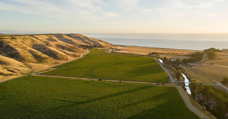 OTU Estate From the Air