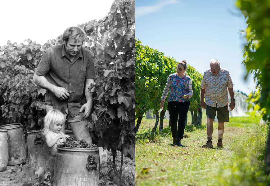 Seifried Estate - The early years