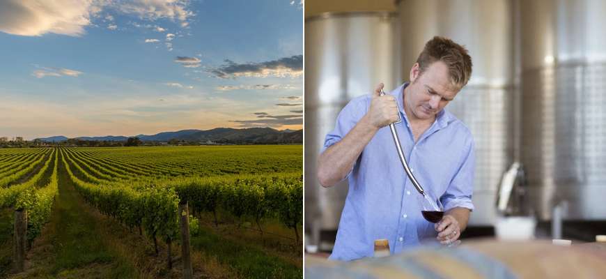 Seifried Estate Vineyard - In the Winery